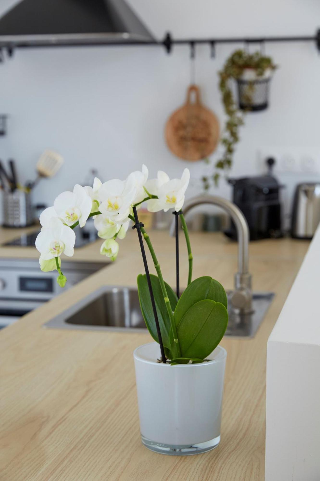 La Bertonnerie En Champagne Bed and Breakfast Prunay Εξωτερικό φωτογραφία